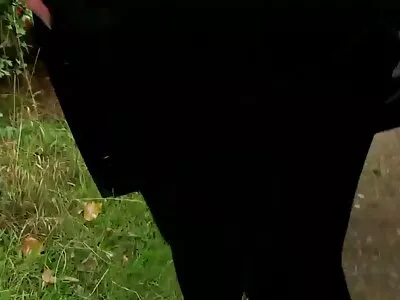 Szuper meleg sex video magyarul lány hamarosan cum